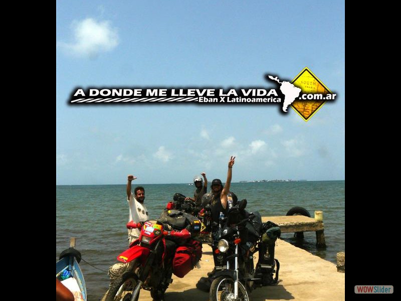 2253632 (Large)